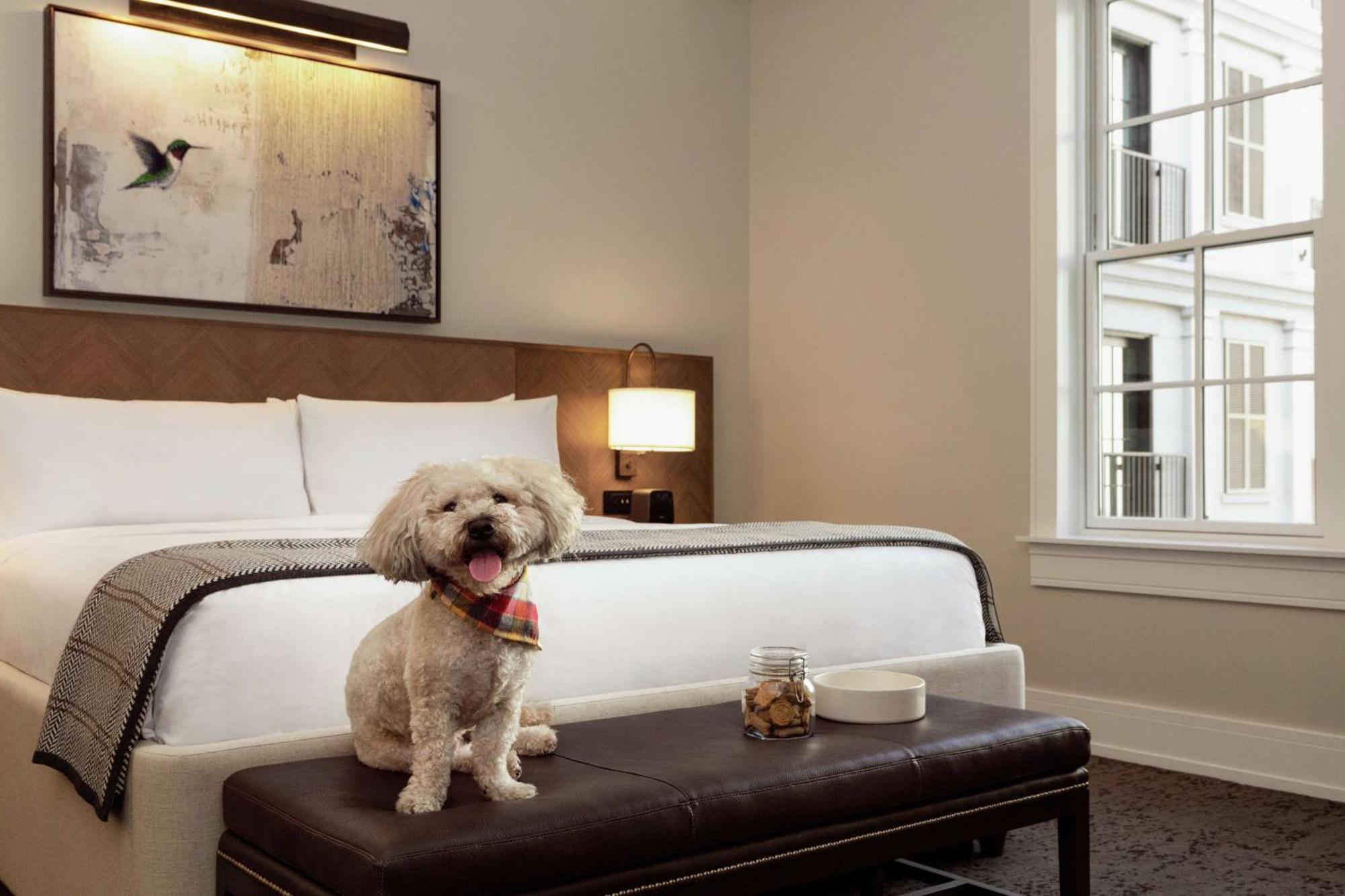 Hotel The Harpeth Franklin Downtown, Curio Collection By Hilton Exteriér fotografie
